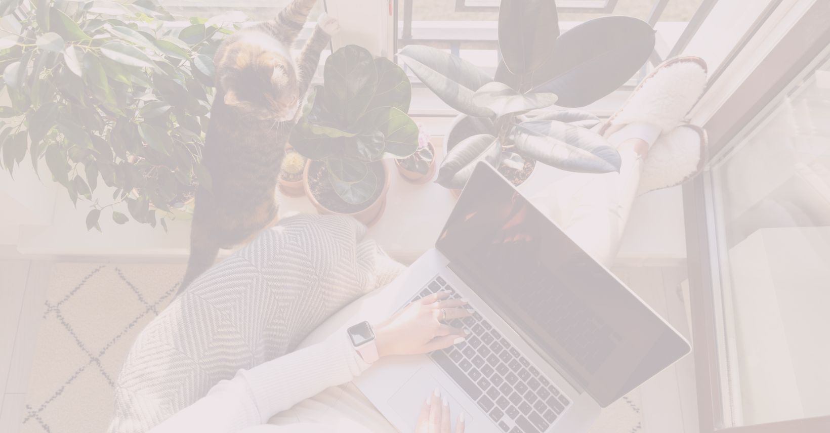 5 minute bookkeeping website image_mobile cover (3)