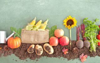 Free QuickBooks ProAdvisor Certification: how I used it to grow my bookkeeping business